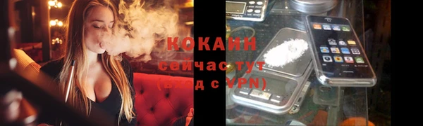 шишки Баксан