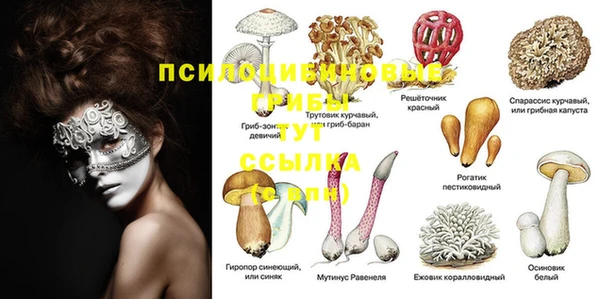 шишки Баксан