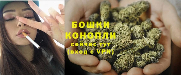 шишки Баксан